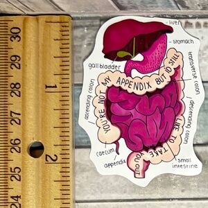 🌀10/$10🌀 Anatomy Reusable Waterproof Vinyl Sticker Decal